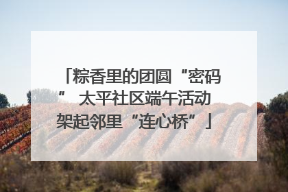 粽香里的团圆“密码” 太平社区端午活动架起邻里“连心桥”