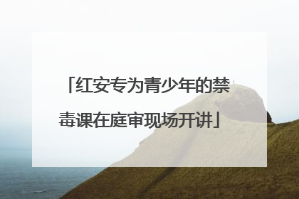 红安专为青少年的禁毒课在庭审现场开讲