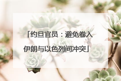 约旦官员：避免卷入伊朗与以色列间冲突