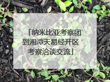 纳米比亚考察团到湘潭天易经开区考察洽谈交流