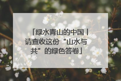 绿水青山的中国丨请查收这份“山水与共”的绿色答卷