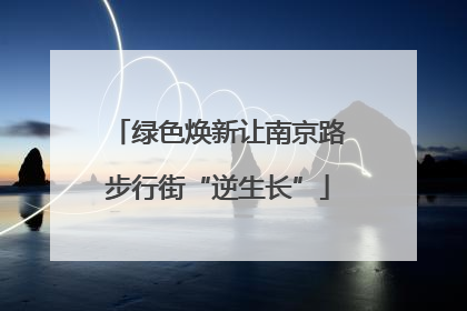 绿色焕新让南京路步行街“逆生长”