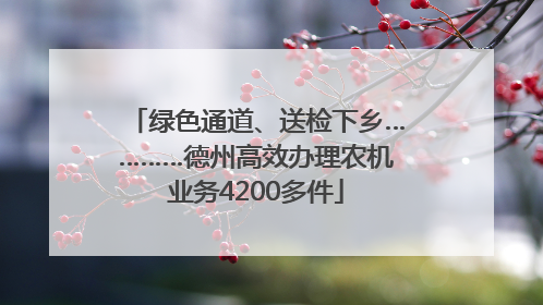 绿色通道、送检下乡…………德州高效办理农机业务4200多件