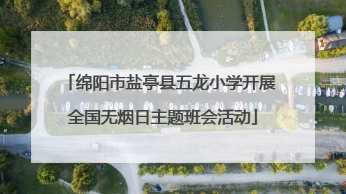 绵阳市盐亭县五龙小学开展全国无烟日主题班会活动