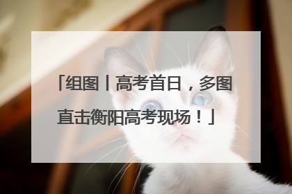 组图丨高考首日，多图直击衡阳高考现场！