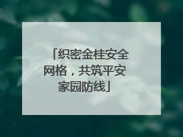 织密金桂安全网格，共筑平安家园防线