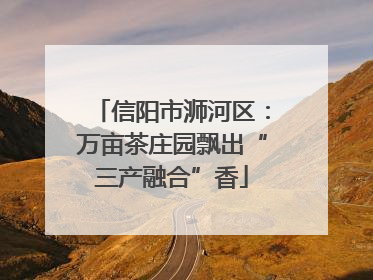 信阳市浉河区：万亩茶庄园飘出“三产融合”香