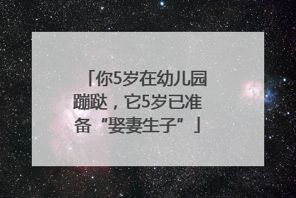 你5岁在幼儿园蹦跶，它5岁已准备“娶妻生子”
