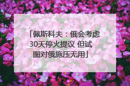 佩斯科夫：俄会考虑30天停火提议 但试图对俄施压无用