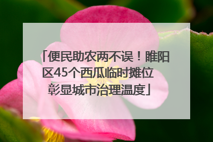 便民助农两不误！睢阳区45个西瓜临时摊位 彰显城市治理温度