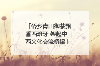侨乡青田御茶飘香西班牙 架起中西文化交流桥梁