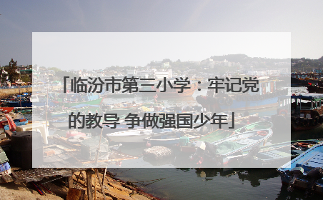 临汾市第三小学：牢记党的教导 争做强国少年