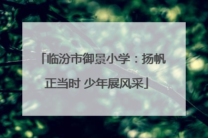 临汾市御景小学：扬帆正当时 少年展风采