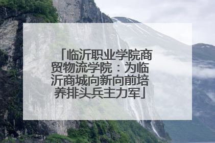临沂职业学院商贸物流学院：为临沂商城向新向前培养排头兵主力军