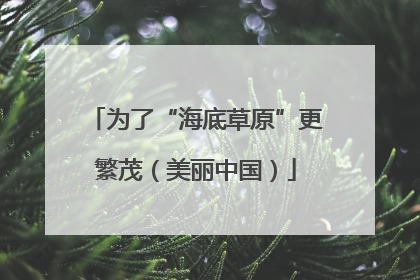 为了“海底草原”更繁茂（美丽中国）