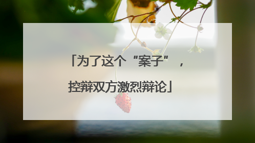 为了这个“案子”，控辩双方激烈辩论