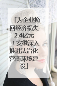 为企业挽回经济损失2.4亿元！安徽深入推进法治化营商环境建设