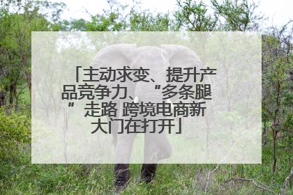 主动求变、提升产品竞争力、“多条腿”走路 跨境电商新大门在打开