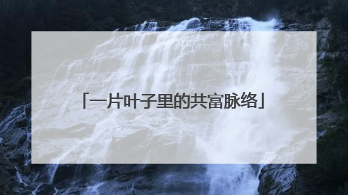 一片叶子里的共富脉络