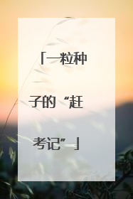 一粒种子的“赶考记”
