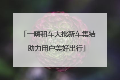 一嗨租车大批新车集结 助力用户美好出行