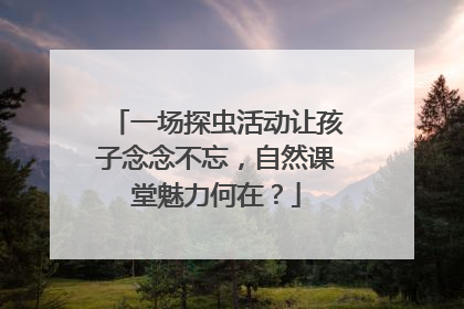 一场探虫活动让孩子念念不忘，自然课堂魅力何在？