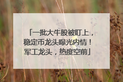 一批大牛股被盯上，稳定币龙头曝光内情！军工龙头，热度空前