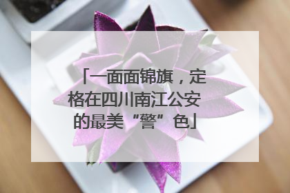 一面面锦旗，定格在四川南江公安的最美“警”色