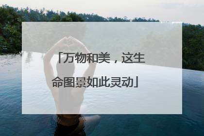 万物和美，这生命图景如此灵动