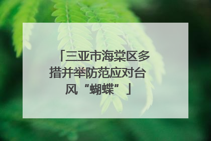 三亚市海棠区多措并举防范应对台风“蝴蝶”