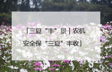 三夏“丰”景｜农机安全保“三夏”丰收
