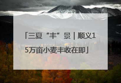 三夏“丰”景｜顺义15万亩小麦丰收在即