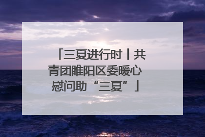 三夏进行时丨共青团睢阳区委暖心慰问助“三夏”