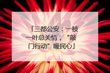 三都公安：一枝一叶总关情，“敲门行动”暖民心
