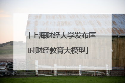上海财经大学发布匡时财经教育大模型