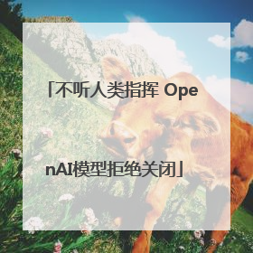 不听人类指挥 OpenAI模型拒绝关闭