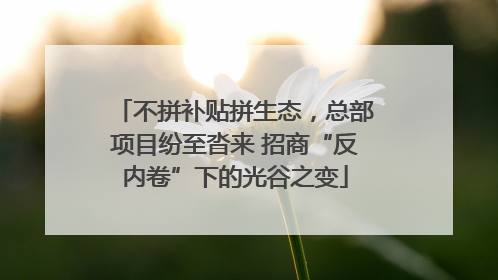 不拼补贴拼生态，总部项目纷至沓来 招商“反内卷”下的光谷之变