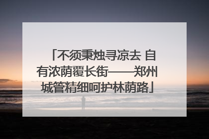 不须秉烛寻凉去 自有浓荫覆长街——郑州城管精细呵护林荫路