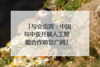 与会嘉宾：中国与中亚开展人工智能合作前景广阔