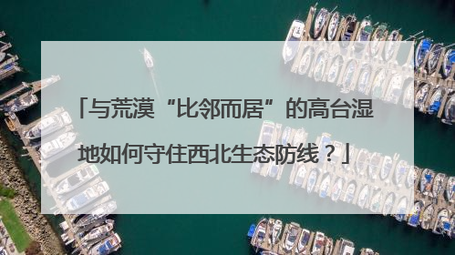 与荒漠“比邻而居”的高台湿地如何守住西北生态防线？