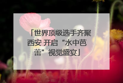 世界顶级选手齐聚西安 开启“水中芭蕾”视觉盛宴