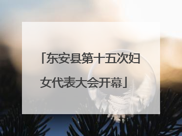 东安县第十五次妇女代表大会开幕