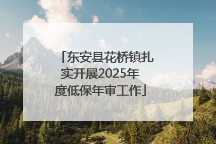 东安县花桥镇扎实开展2025年度低保年审工作