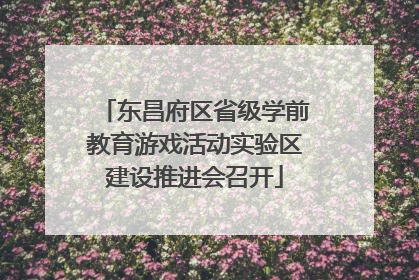 东昌府区省级学前教育游戏活动实验区建设推进会召开