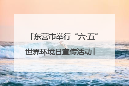 东营市举行“六·五”世界环境日宣传活动
