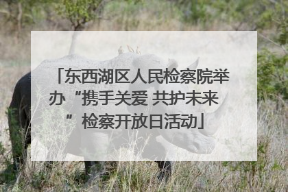 东西湖区人民检察院举办“携手关爱 共护未来”检察开放日活动