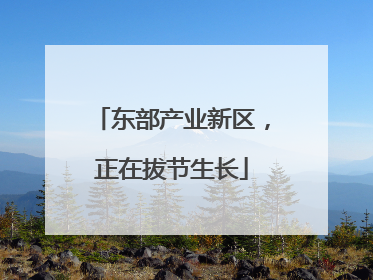 东部产业新区，正在拔节生长