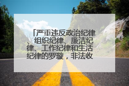 严重违反政治纪律、组织纪律、廉洁纪律、工作纪律和生活纪律的罗璇，非法收受他人巨额财物