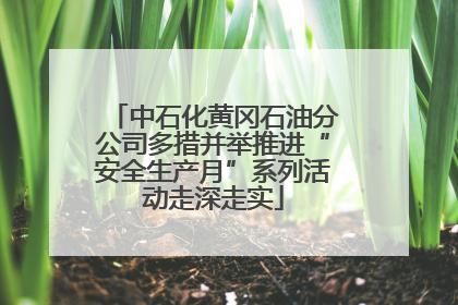 中石化黄冈石油分公司多措并举推进“安全生产月”系列活动走深走实