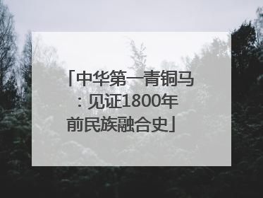 中华第一青铜马：见证1800年前民族融合史